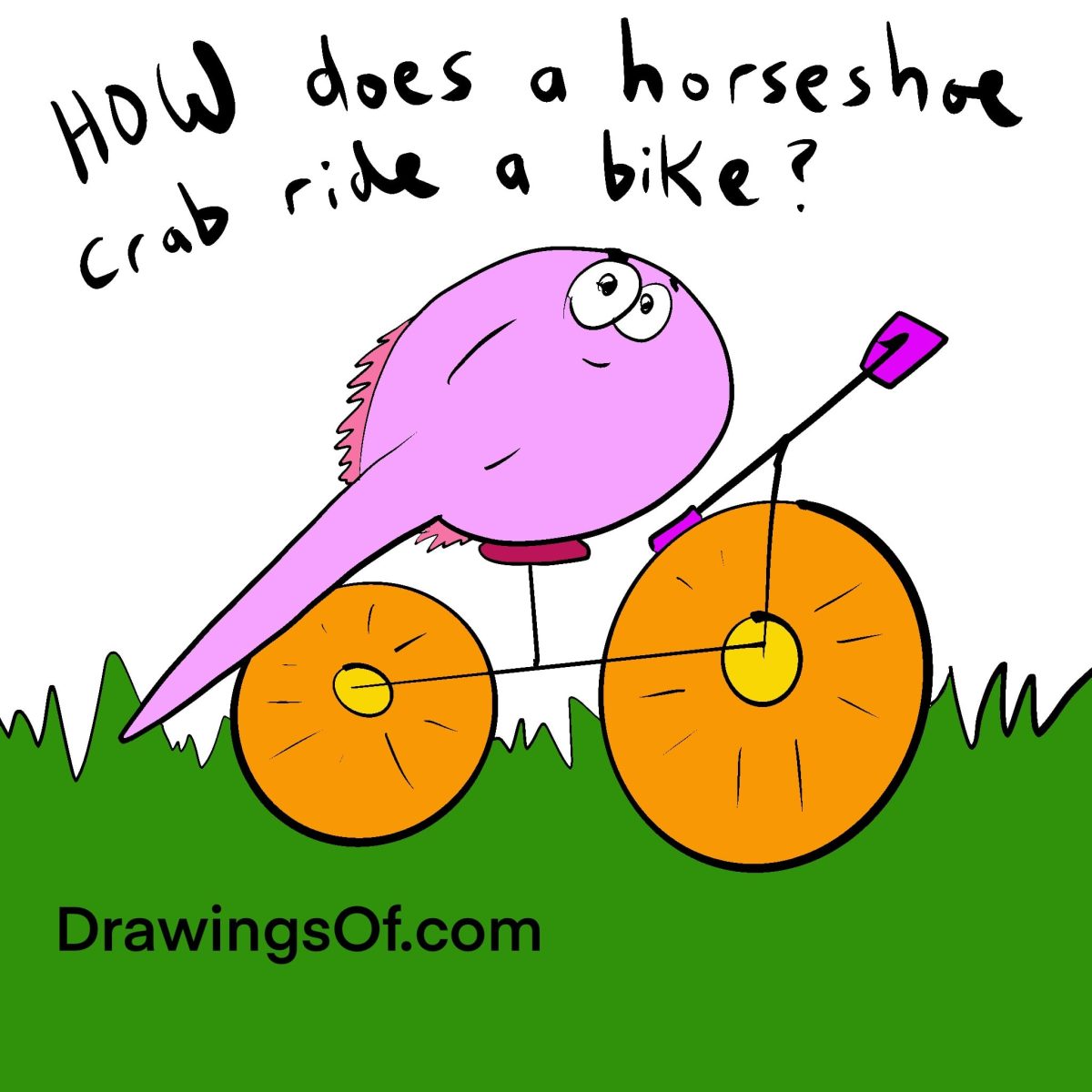 Horseshoe crab bike dream cartoon