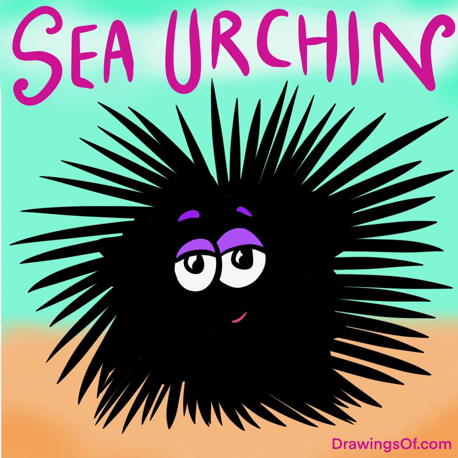 Easy drawing of a sea urchin