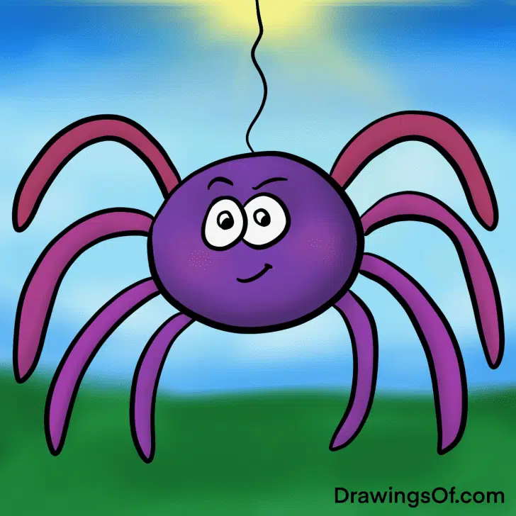 Spider drawing