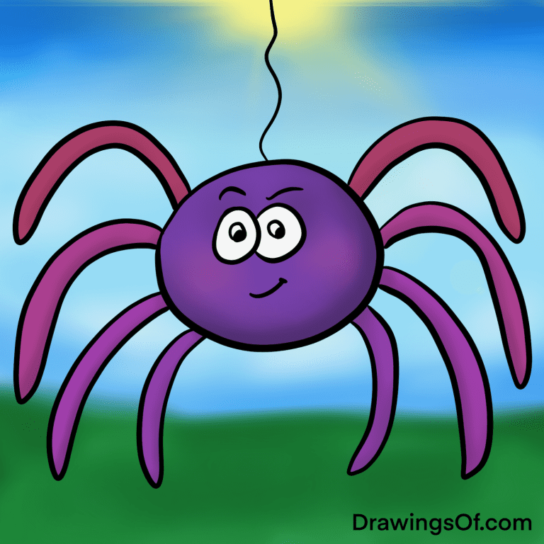 Spider drawing