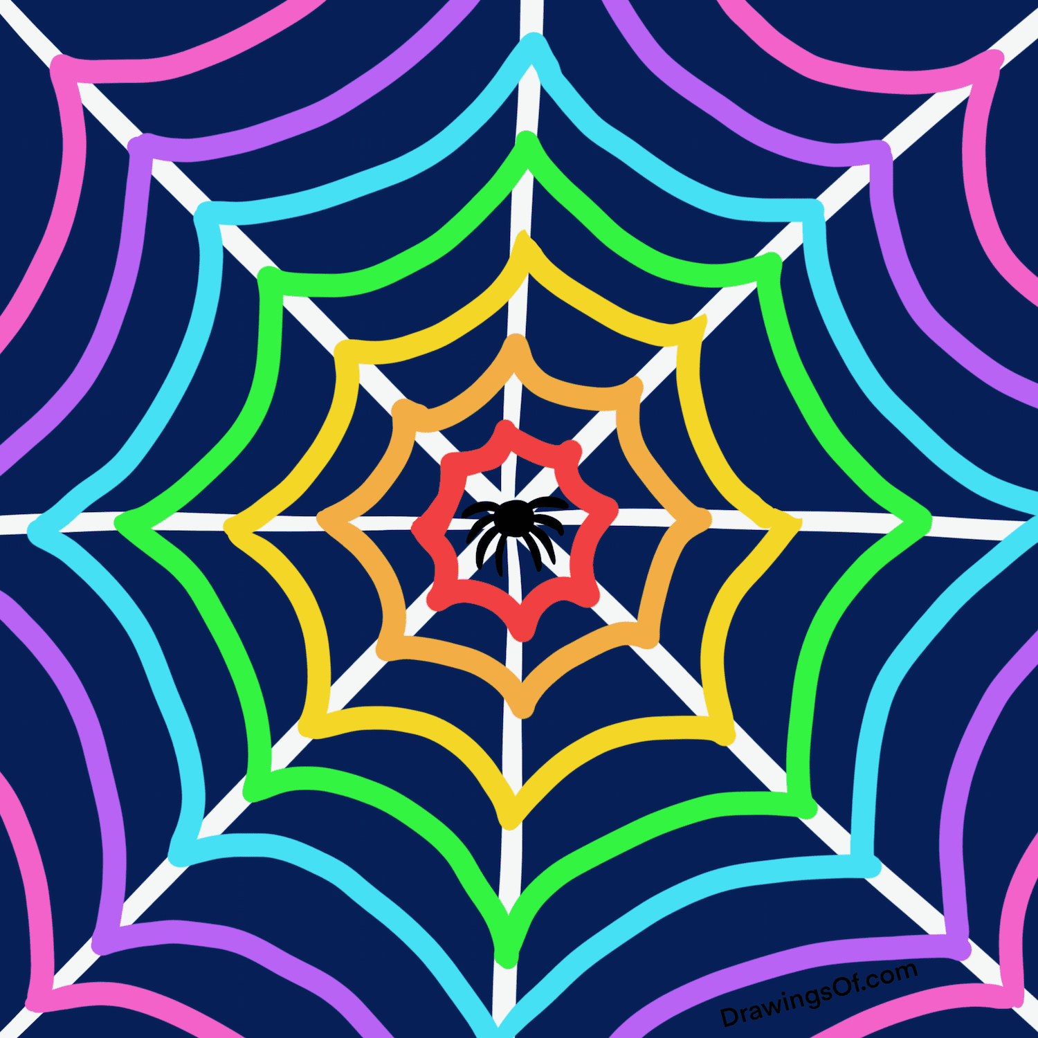 spider web with spider drawing