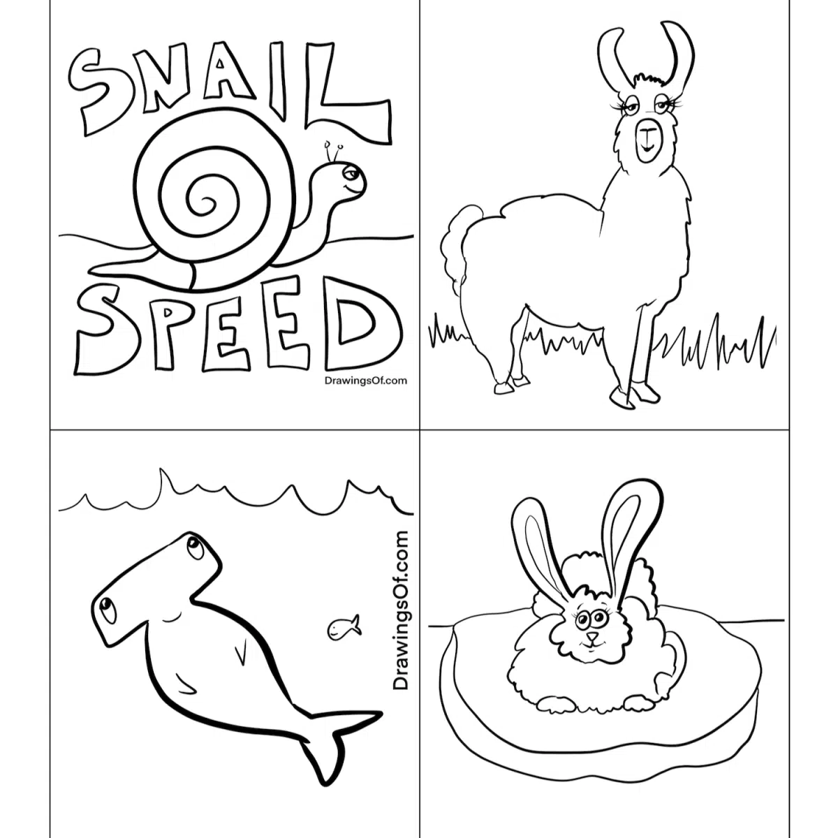 Which animals would you like to color in?