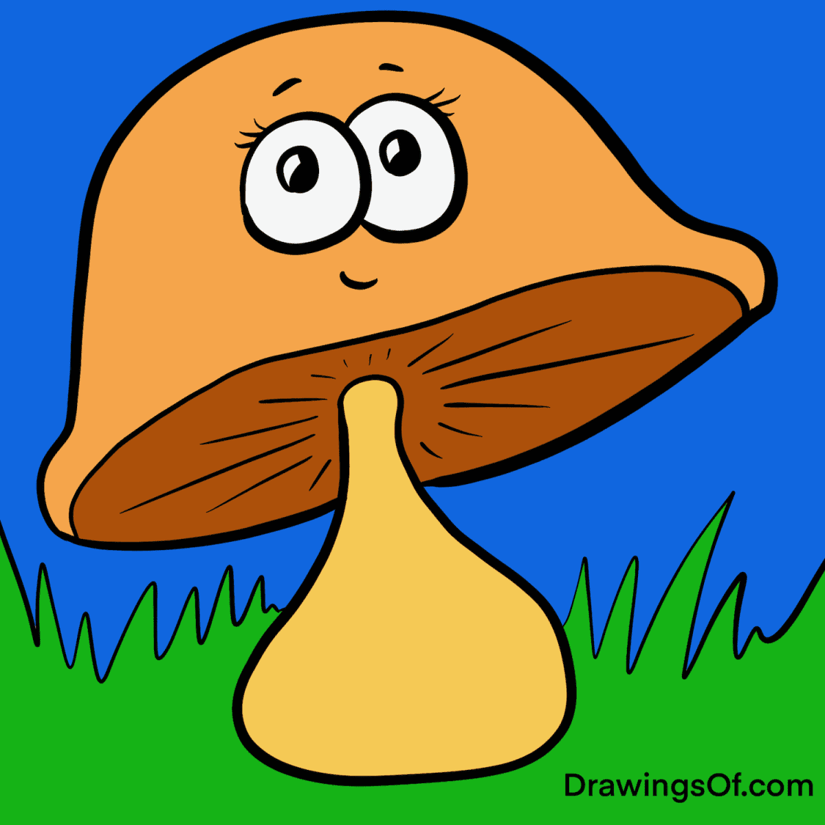 fun fungus