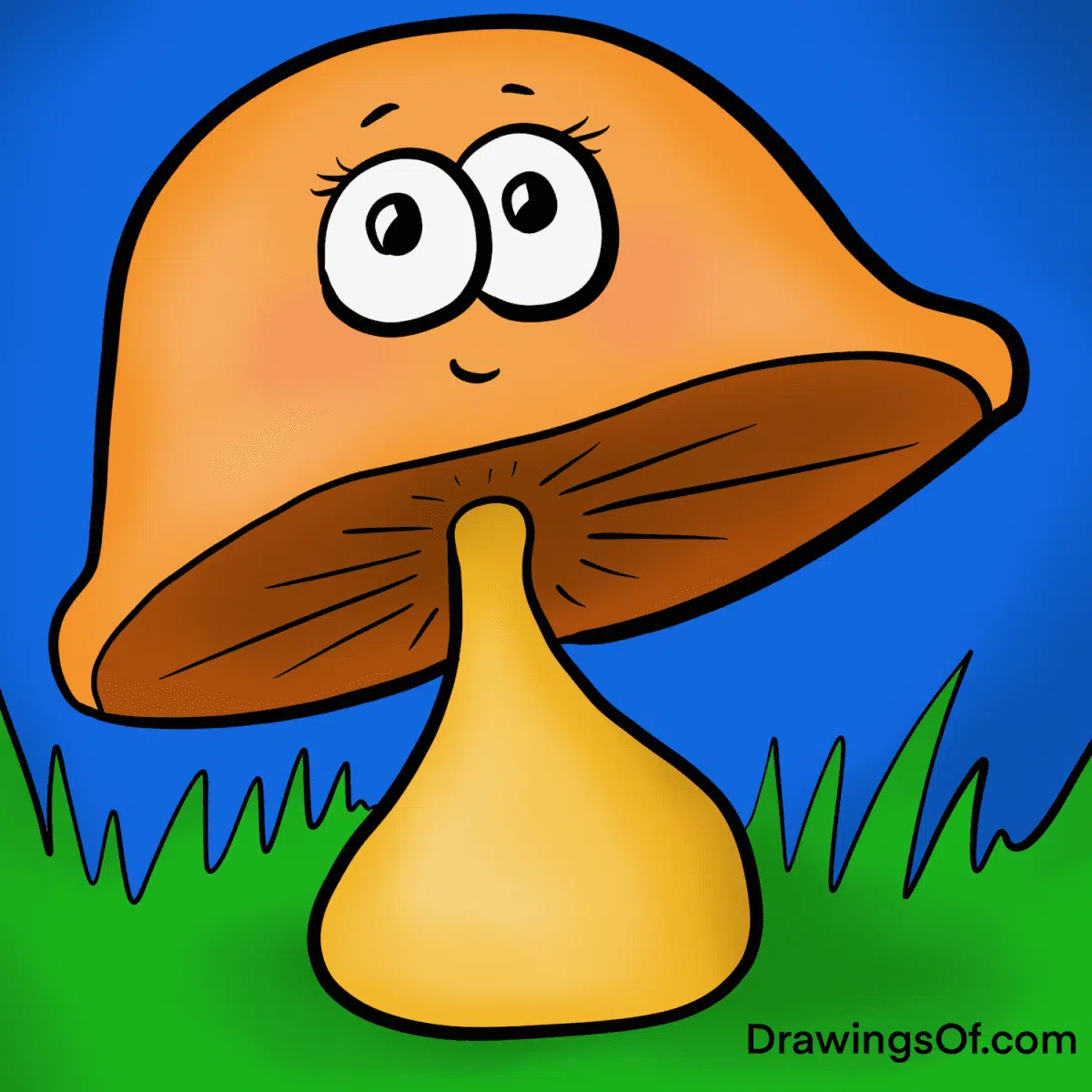 Cute mushroom drawings