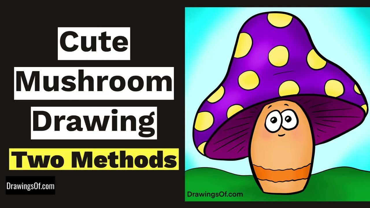 MUSHROOM DRAWING || HOW TO DRAW MUSHROOM VERY EASYILY || MUSHROOM KA CHITRA  KAISE BANAYE||DRAWING | Mushroom drawing, Drawing for kids, Easy drawings  for kids