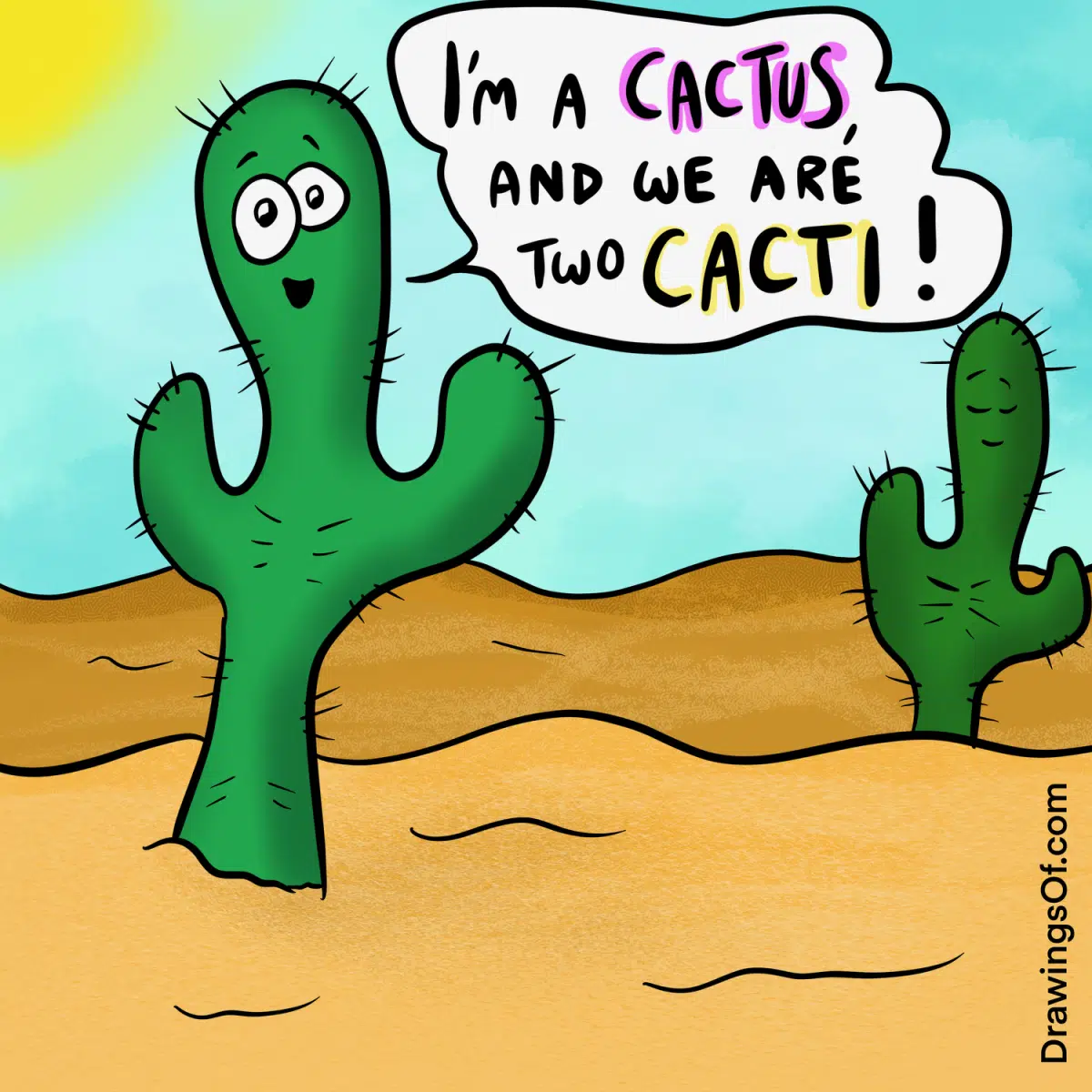 Cactus drawing