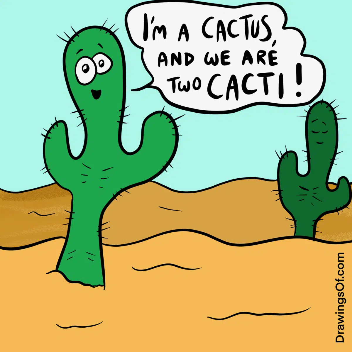Drawings of cacti