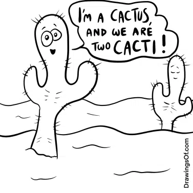 How to draw a cactus